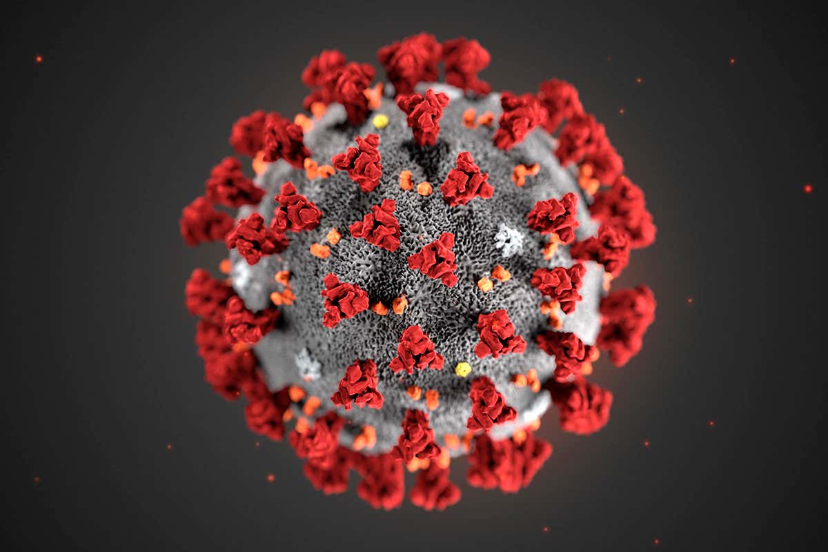 coronovirus